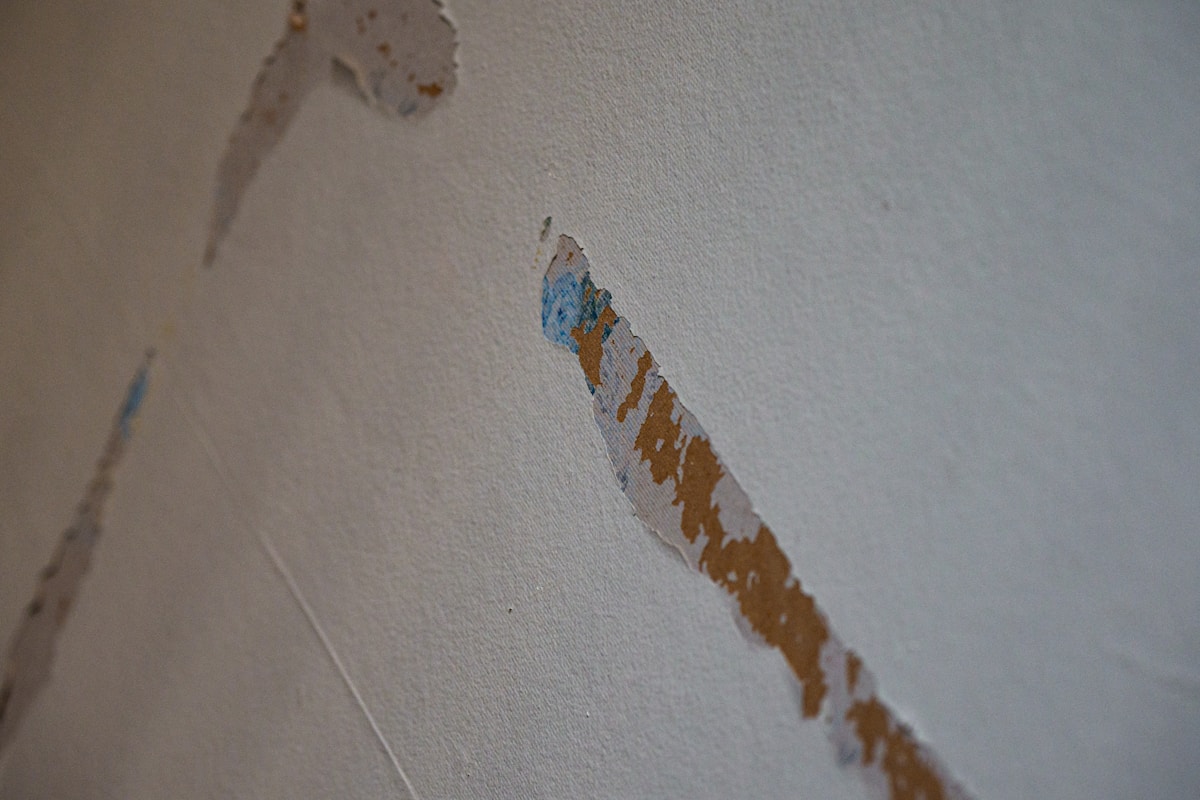 Commercial Water Damage service in Saint Louis, MO